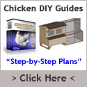 Chicken Coop Guide