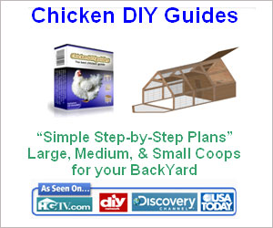 Chicken Coop Guide