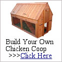 How To Build A Chicken Coop
