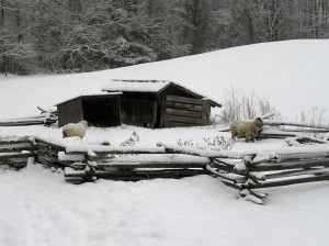 gravityfence-livstock-winter
