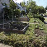 Homesteading on a Sub-urban Scale