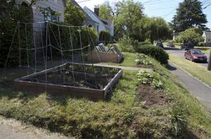 Homesteading on a Sub-urban Scale