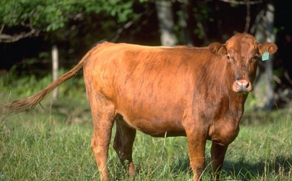 #pb_slideshow_caption-1-1 B06C0063