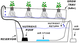 easy Hydroponics