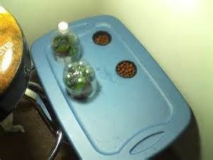 easy hydroponics