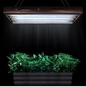 easy hydroponics system