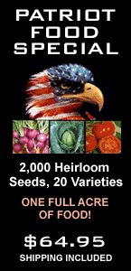 Rainwater collection barrel system