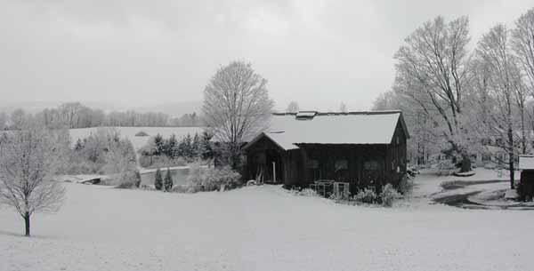 Morning sunlight over homestead farm