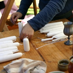 Winter garden covered with hoop house