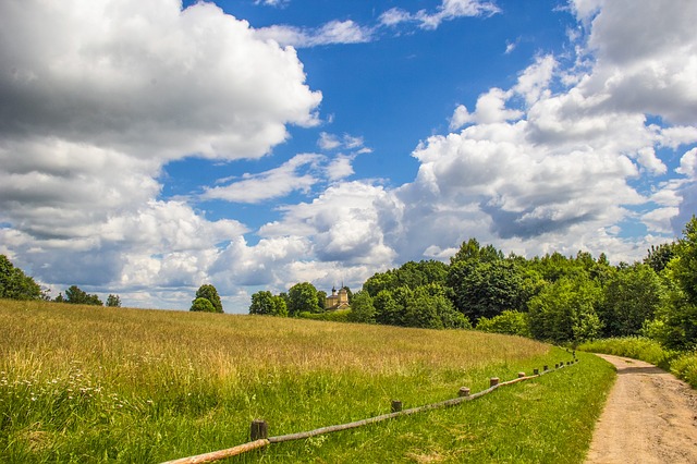 Homesteading Skills to Learn for a Urban Homestead