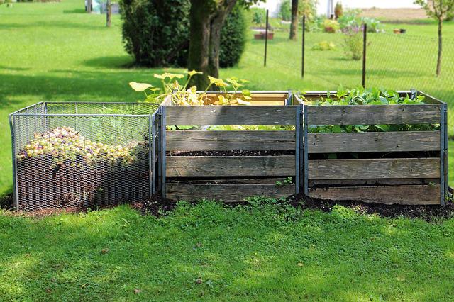 How to Build a Compost Bin?