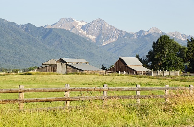 Why is Homesteading a better lifestyle than rural living?