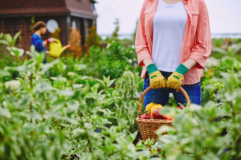 Why Homesteading Is Right For You