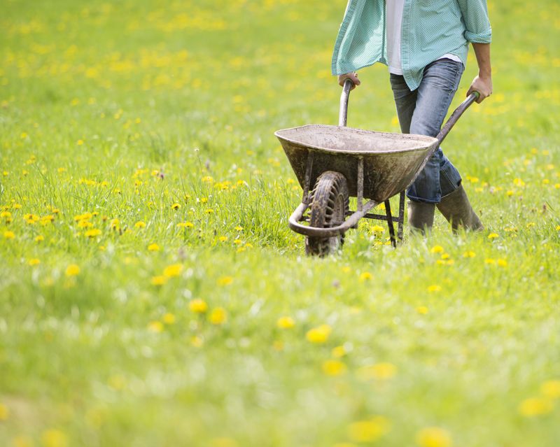 Is Homesteading a Viable Lifestyle Today?