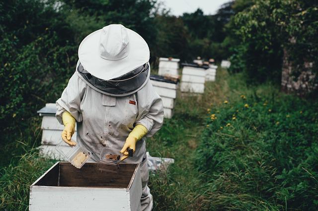 Two Reasons Your Homestead Needs You to Be a Beekeeper