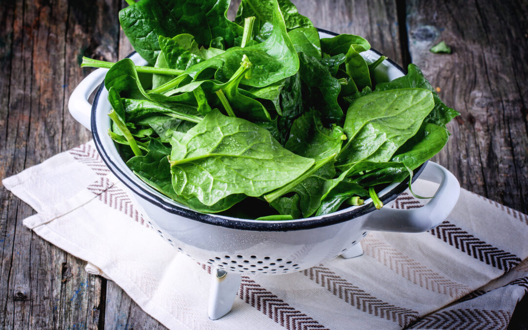 Off-grid homestead in forest clearing