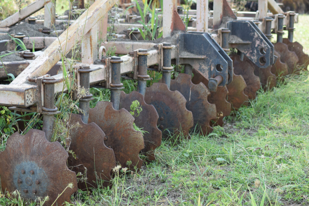 Why More People are Turning to Homesteading for Self-Sufficiency and Freedom