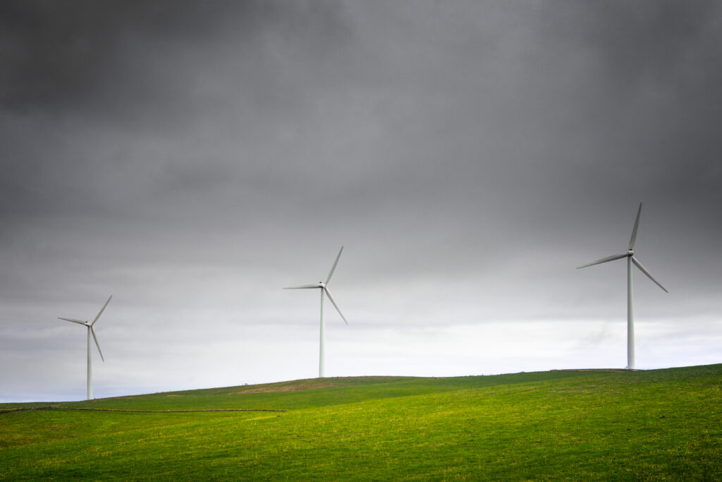 10 Effective homestead sustainability tips to transform your farm in 2025