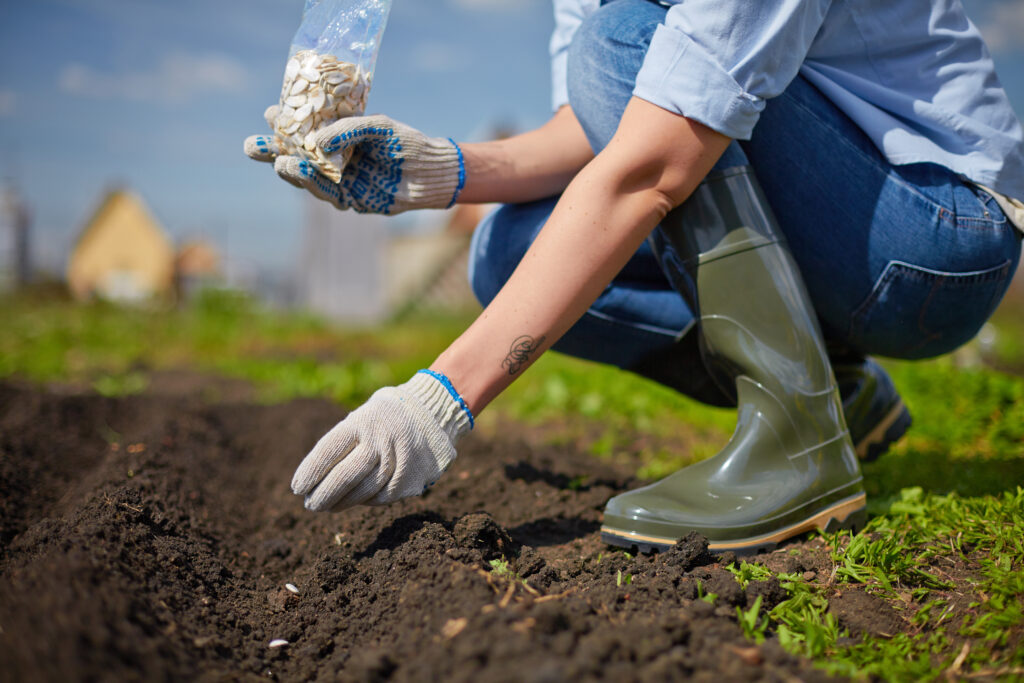 Unlocking the Secrets of DIY Homestead Hacks: Effortless Solutions for Sustainable Living