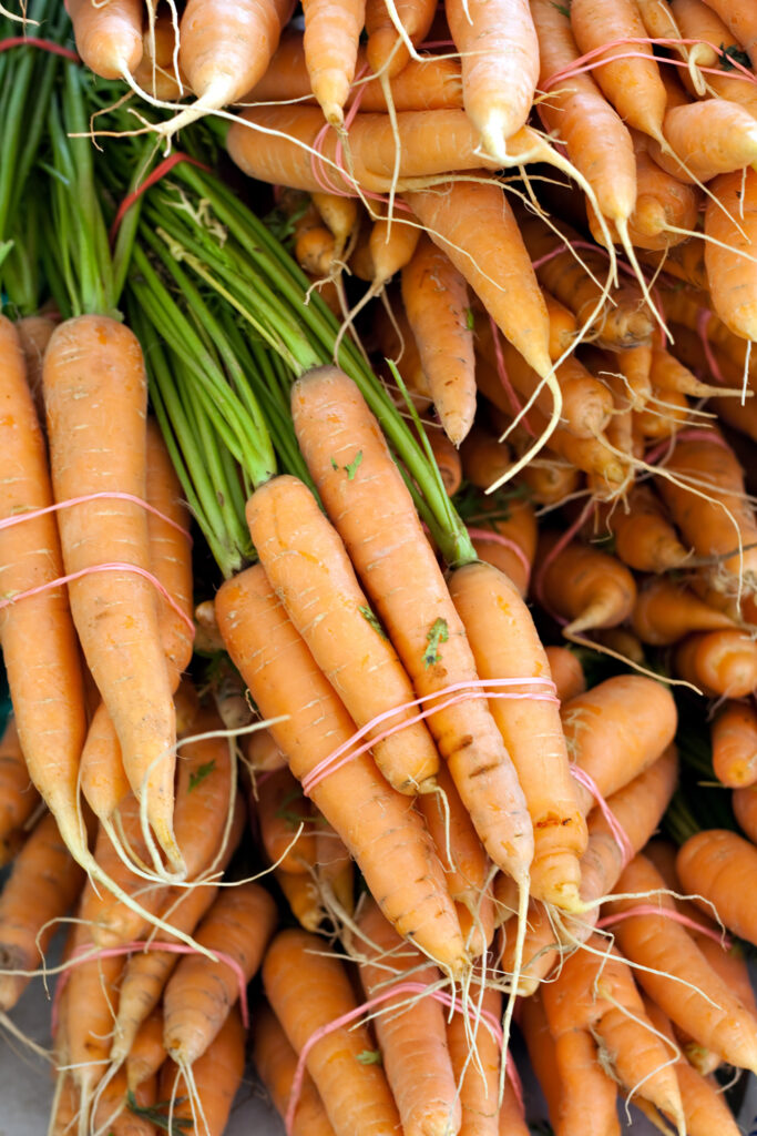 Growing Your Own Food: An Introduction to Organic Gardening