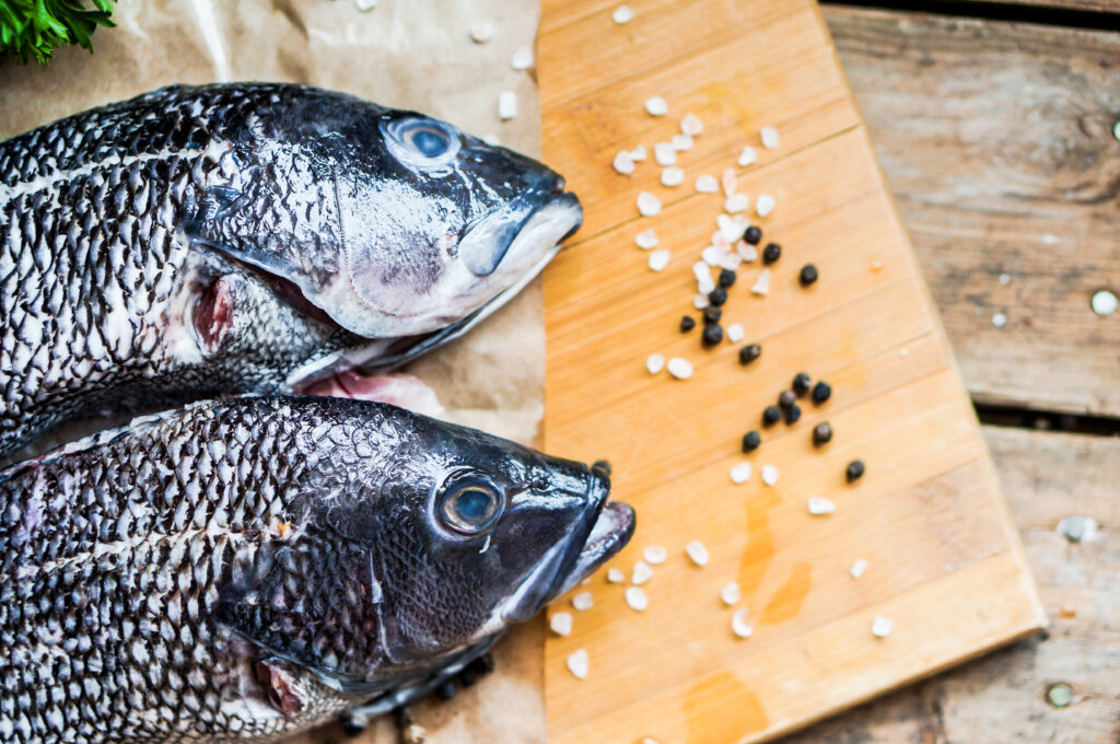 Raising Livestock on Your Homestead: Everything You Need to Know