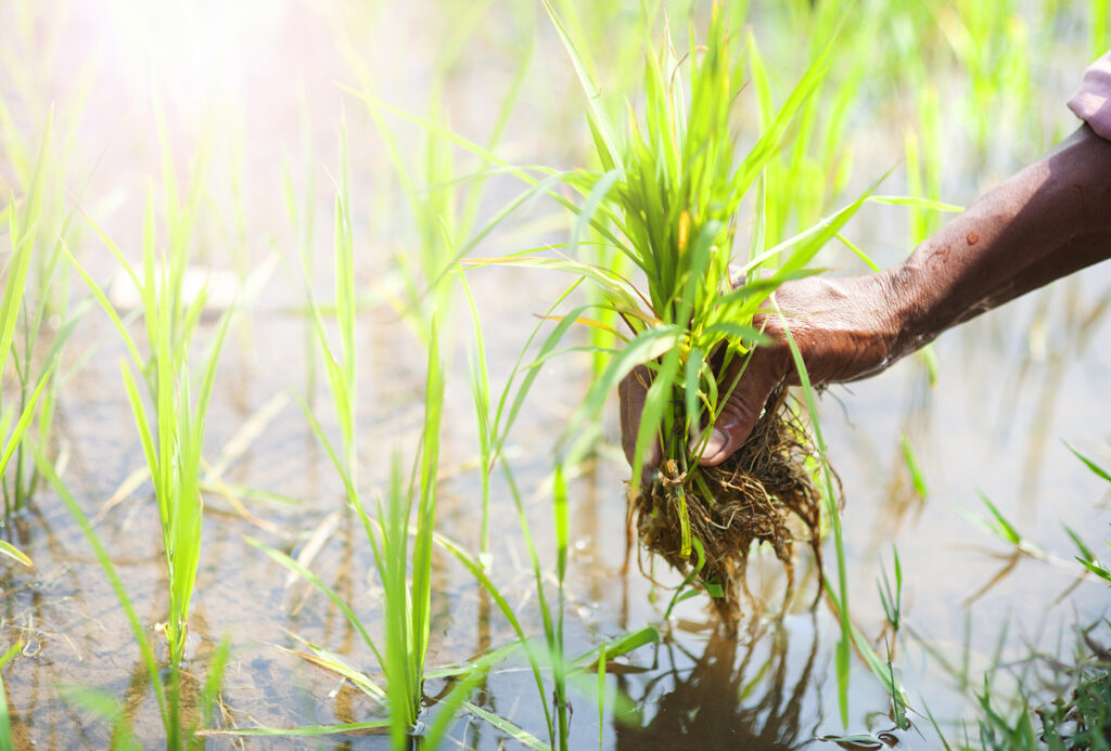 How to Become Self-Reliant: 5 Essential Skills You Need