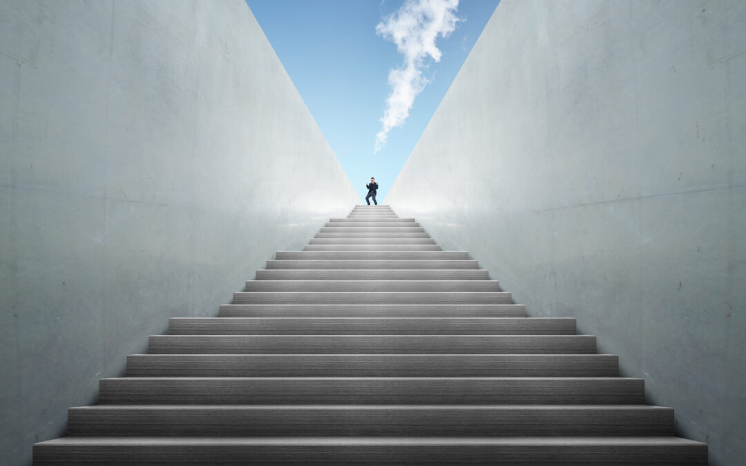 Herbal tea steeping in teapot