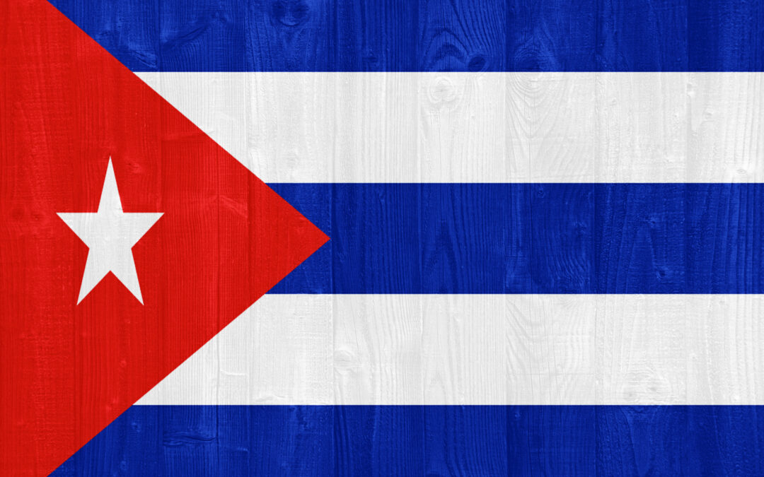 Homemade cheese on cutting board