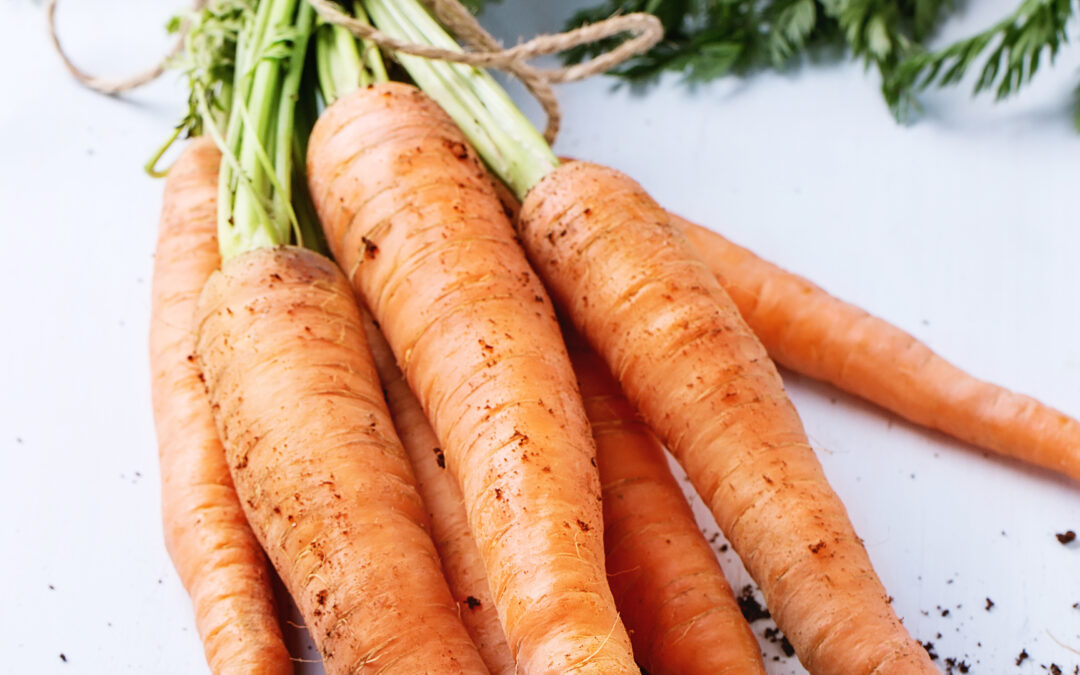 DIY compost toilet setup