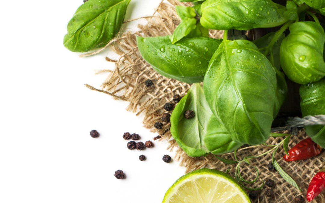 Greenhouse with seedlings inside