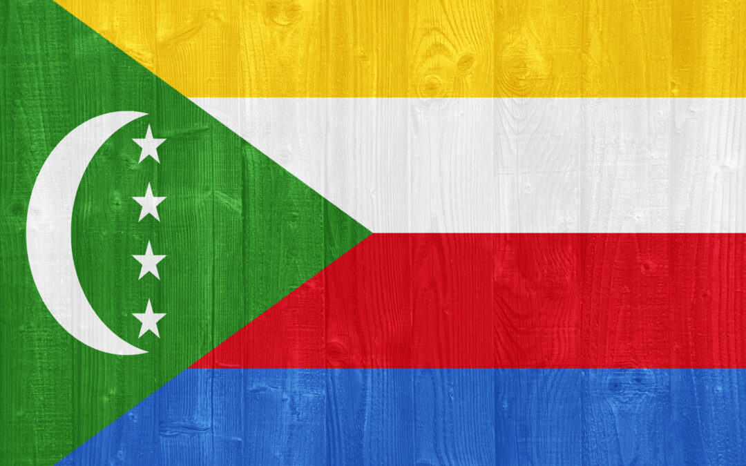 Ducks waddling through tall grass