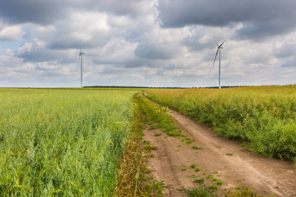 Self-Sufficiency in the Modern Age: Tips for Living Off the Grid