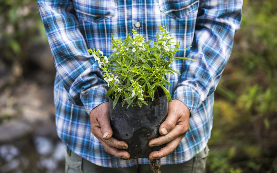 The Ultimate Seasonal Homesteading Guide (2025): 10 Powerful Tips to Maximize Your Harvest