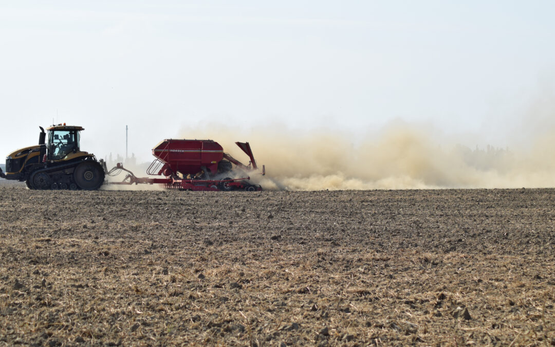 Winter garden covered with hoop house