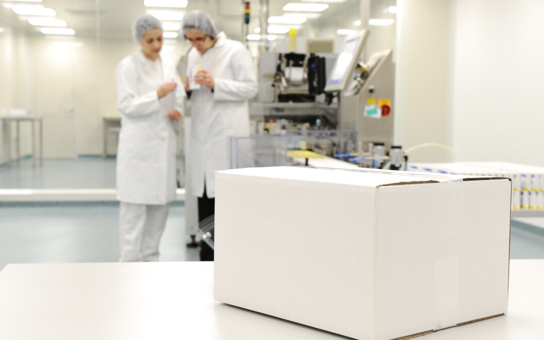 Seedlings sprouting in starter trays