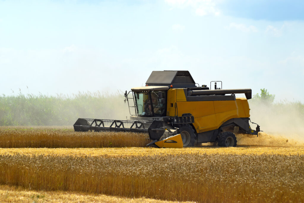 From Hobbyist to Pro: Tips for Turning Your Home Farm into a Business