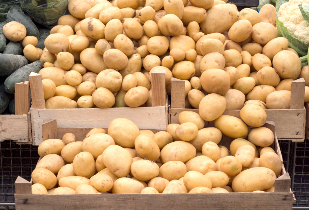 From Seed to Harvest: A Guide to Growing Vegetables in Your Own Garden