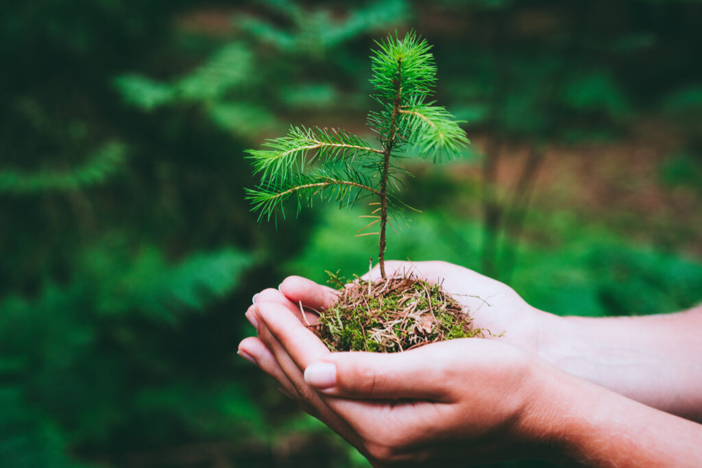 Transform Your Backyard into a Thriving Home Farm with These Simple Steps