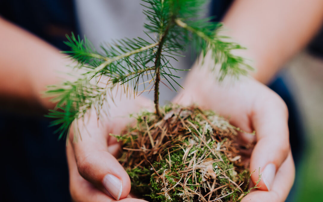 Garden tools leaning on shed
