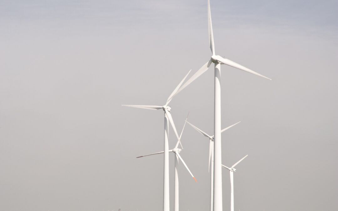 Ducks waddling through tall grass