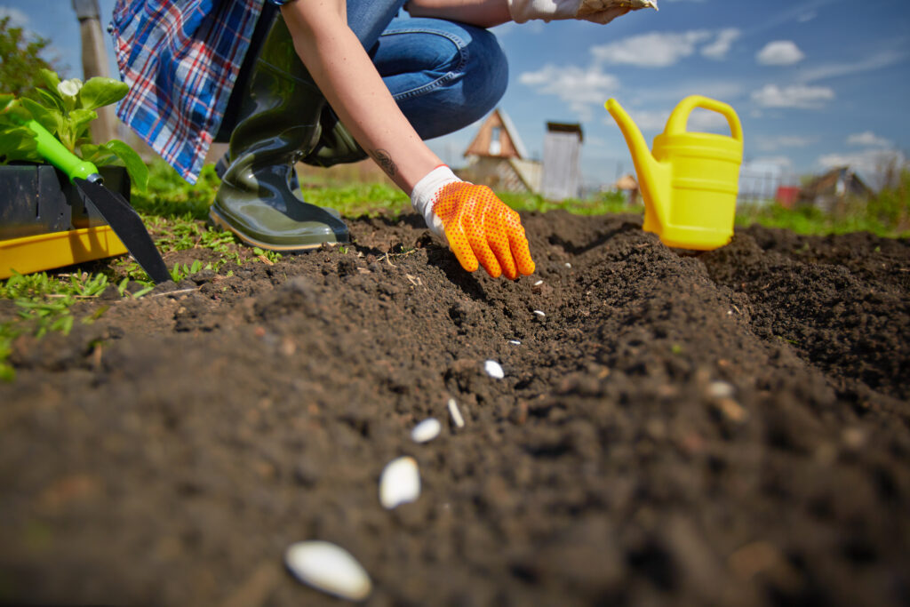 Unlock Your Backyard Potential: A Beginner Guide to Backyard Homesteading for Sustainable Living