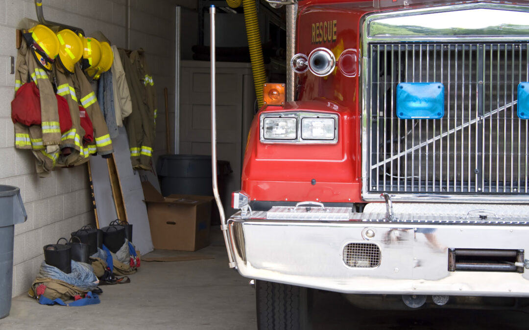 Ducks waddling through tall grass