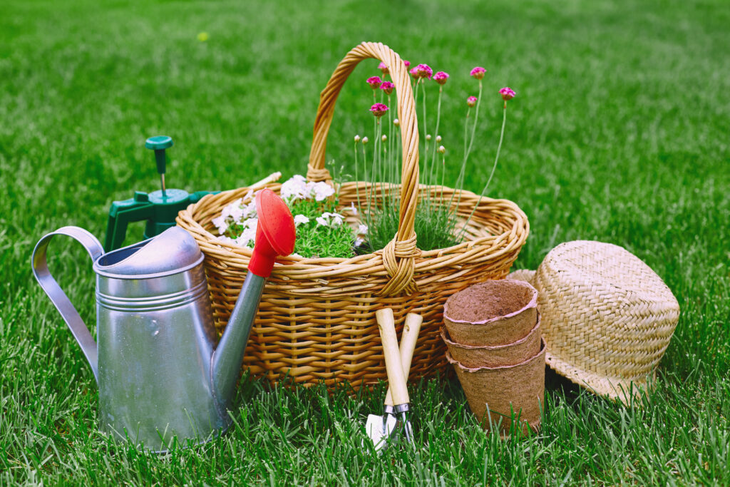 From Seed to Harvest: A Guide to Planting, Caring for, and Harvesting Your Own Crops