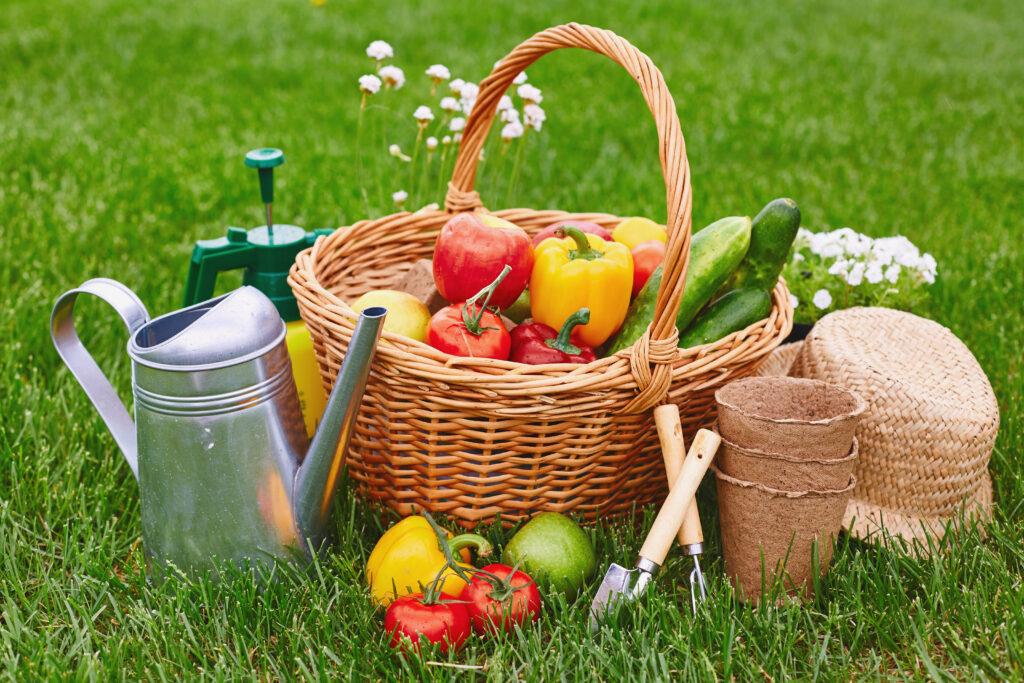 5 Ways to Transform Your Backyard into a Thriving Home Farm
