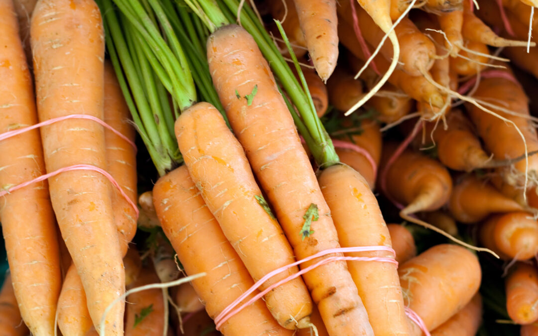 Tips and Tricks for Successful Organic Gardening