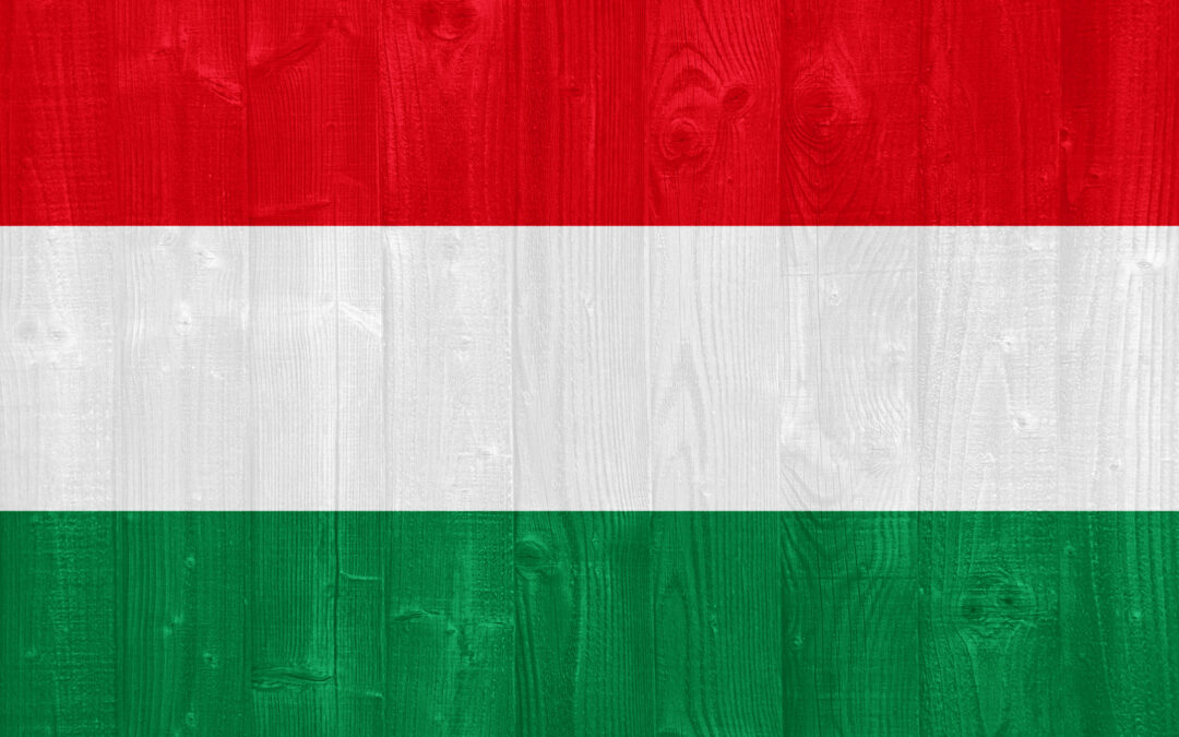 Garden tools leaning on shed