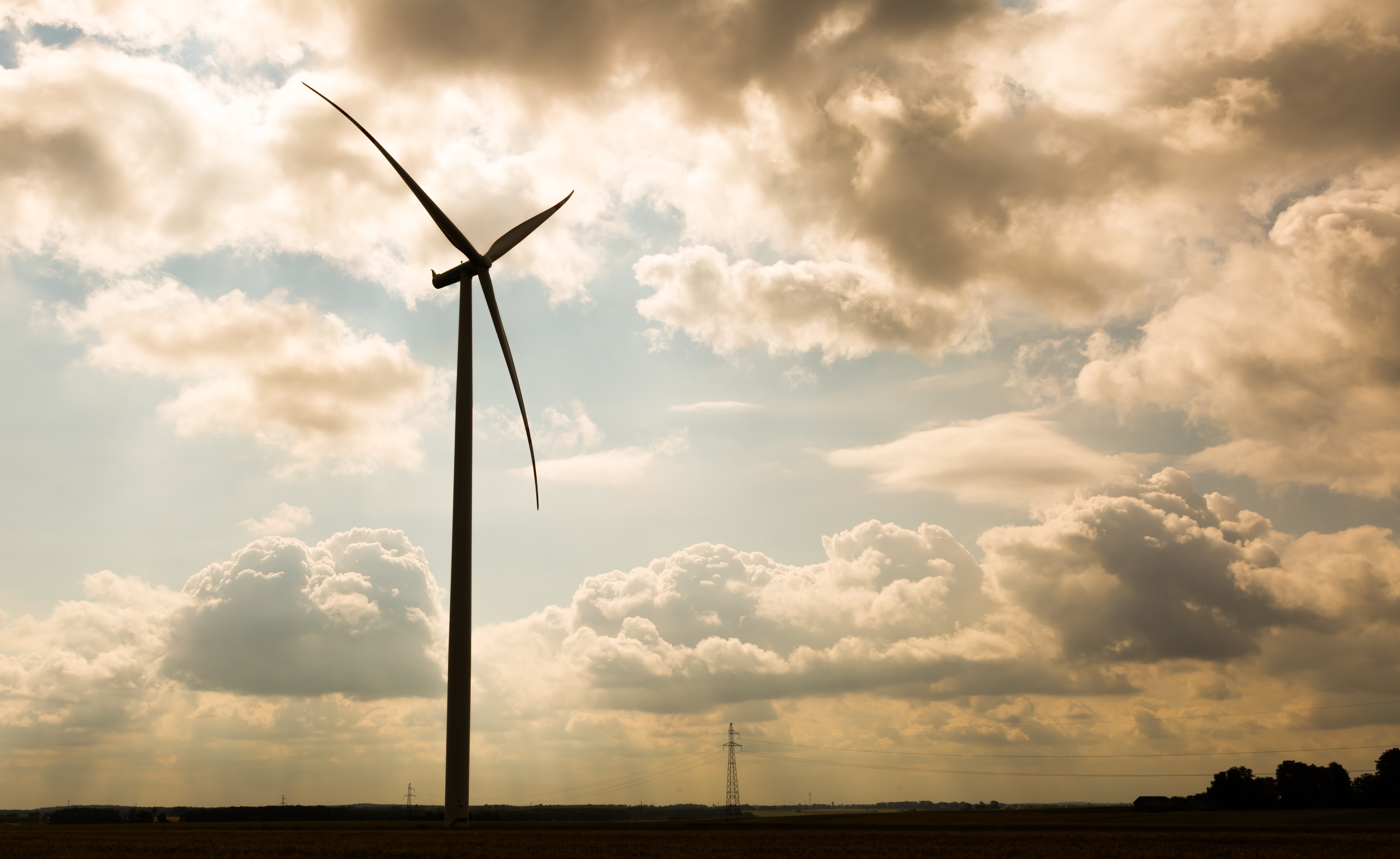 Homemade herbal tinctures in bottles
