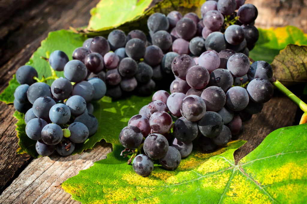 organic grapes