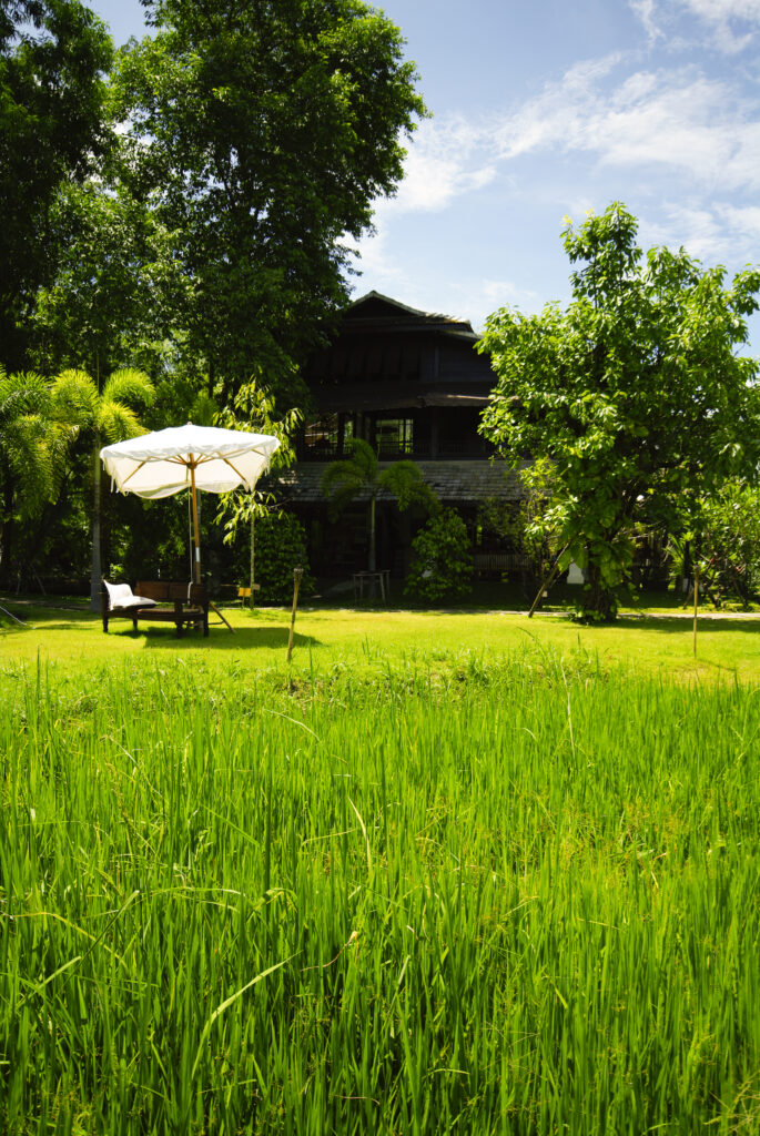 The Benefits of Growing Your Own Food at Home