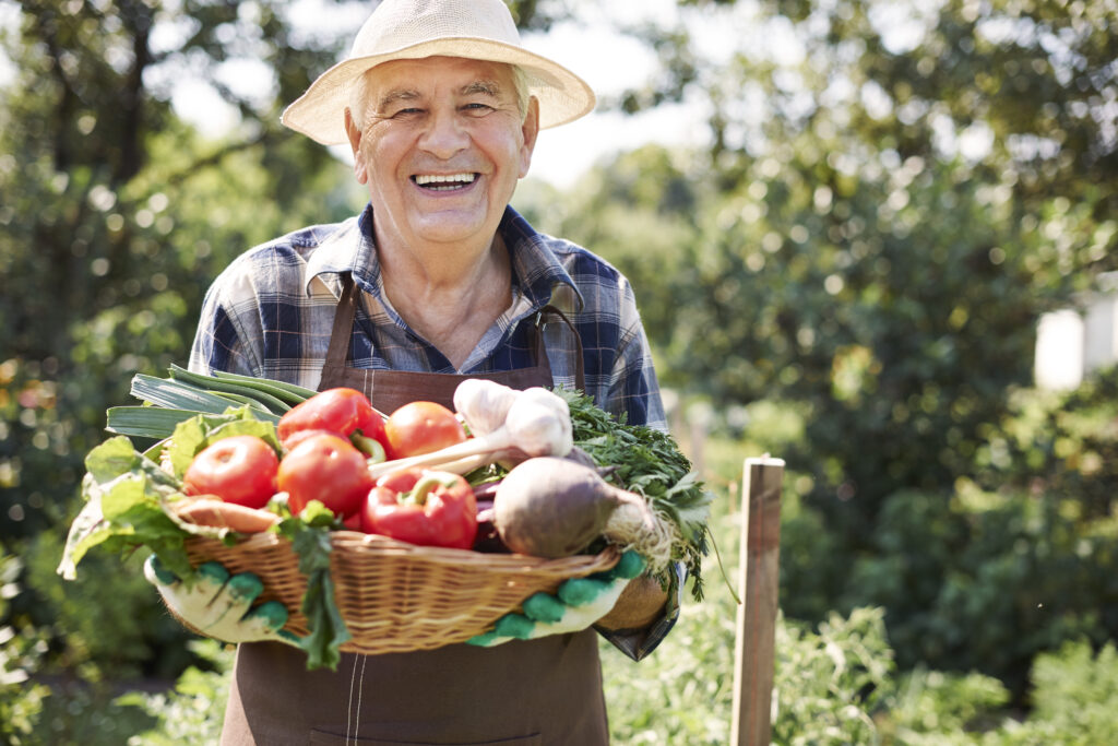 Why Choose Organic Gardening? The Answer Might Surprise You